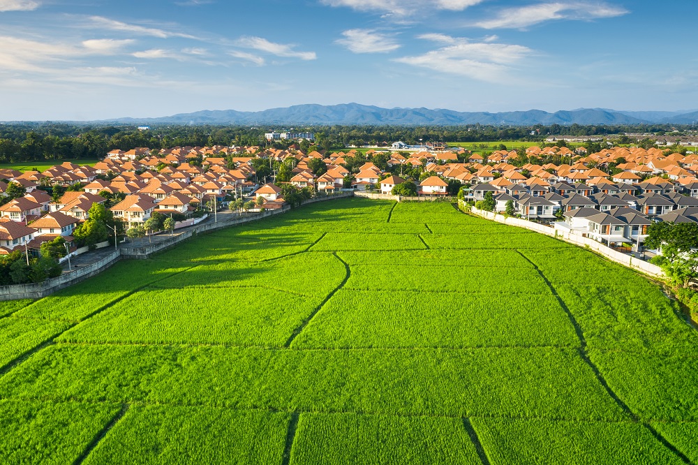 Investing in Land: How to Secure the Perfect Plot for Your&nbsp;Needs